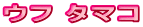 ウフ タマコ